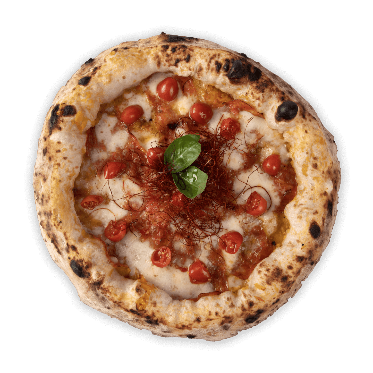 Pizza Fast And Casual